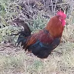 Makis Апартаменты